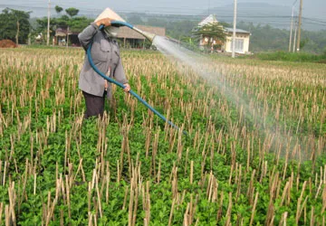 Có nên cho sở hữu tư nhân về đất đai?- Bài cuối: Công nhận tư hữu để sử dụng đất hiệu quả ảnh 1