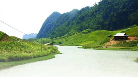 Ở thung lũng tu tiên ảnh 1