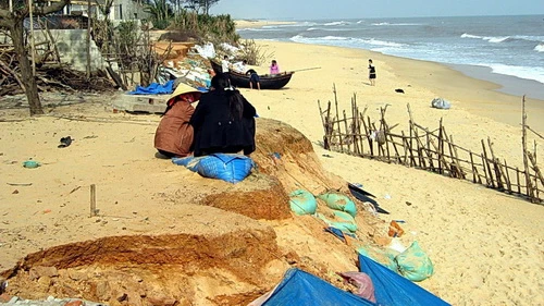 Quảng Bình: Biển “ăn” dần đất làng Nhân Trạch ảnh 1 Quảng Bình: Biển “ăn” dần đất làng Nhân Trạch ảnh 1