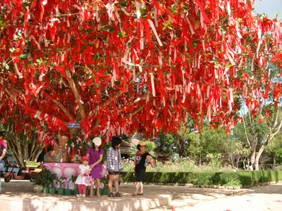 Dải lụa tình yêu độc đáo ở Đà Lạt ảnh 1 Dải lụa tình yêu độc đáo ở Đà Lạt ảnh 1