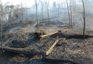 Sa Pa cháy rừng dữ dội hơn 50 giờ chưa thể dập tắt ảnh 5