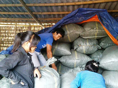 Dược liệu Trung Quốc bao sân ảnh 1