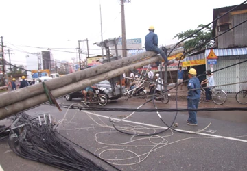 Mưa lớn trái mùa đổ cây xanh, ngã trụ điện ảnh 1