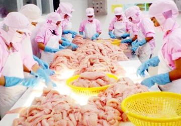 Chung tay, chia sẻ trách nhiệm mang ánh sáng điện vượt sông Hậu ảnh 2