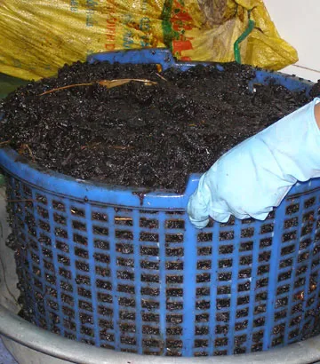 Phù phép lòng bò thành khô bò ảnh 4 Phù phép lòng bò thành khô bò ảnh 4