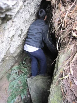 Xâm nhập ngọn núi có hang động chứa vàng ròng- Kỳ 2: Vào núi tìm hang vàng ảnh 7