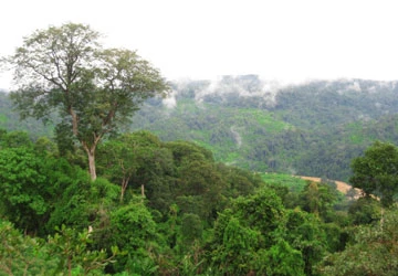 Thủy điện Đồng Nai 6 và 6A: Dân hoang mang, tỉnh lo lắng! ảnh 1