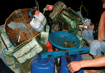 Ngư dân khốn khổ vì “giã cào bay” ảnh 2