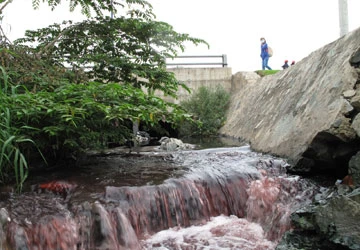 Đua nhau xả thải... theo mưa ảnh 1