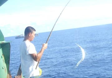 Cuộc sống “tự cấp, tự túc” ngoài khơi ảnh 1 Cuộc sống “tự cấp, tự túc” ngoài khơi ảnh 1