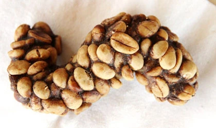 Cận cảnh chồn thải ra cà phê 20 triệu/kg ảnh 4