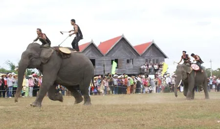 Mở hội đua voi ảnh 1