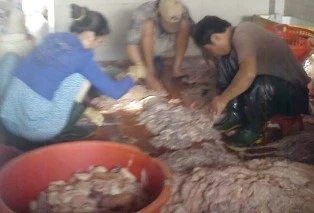 “Công nghệ” làm lạp xưởng, chà bông siêu bẩn ảnh 1