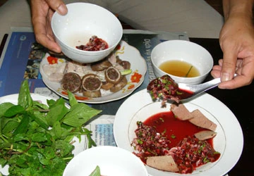 Vi khuẩn E. Coli: Là bạn hơn thù ảnh 1