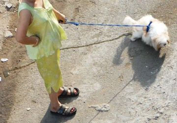 Tính ích kỷ của người thành thị ảnh 2