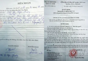 Án chưa hiệu lực, tòa vẫn bắt đi tù ảnh 1