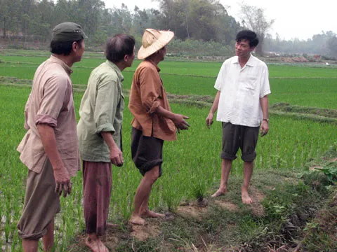 Dũng Nhi coi vai ‘Bí thư tỉnh ủy’ là cột mốc trong đời ảnh 3