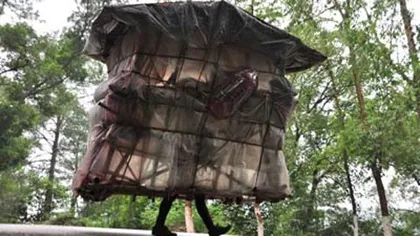 Ngắm nhà "xách tay" có một không hai trên thế giới ảnh 9