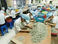 Sản xuất hàng thủy sản Ảnh: VnEconomy