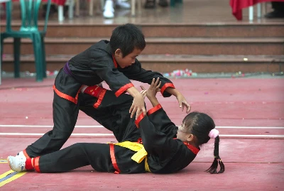 Lễ tổng kết biểu diễn võ thuật cổ truyền chào mừng 1.000 năm Thăng Long - Hà Nội ảnh 10