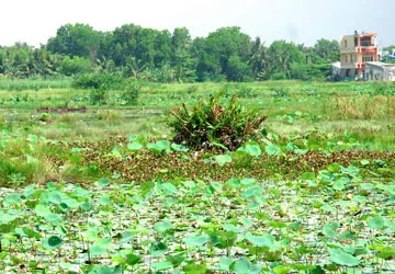 “Phân biệt đối xử” về tiền sử dụng đất ảnh 1 “Phân biệt đối xử” về tiền sử dụng đất ảnh 1