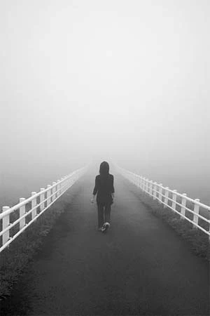 Chụp ảnh trong sương mù ảnh 4