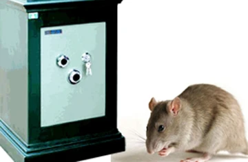 Ngân hàng náo loạn vì... một con chuột ảnh 1