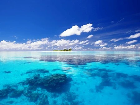 Màn hình desktop rực rỡ với bộ hình nền “nắng hè” ảnh 6