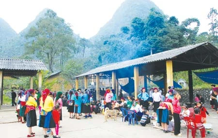 Đưa Vua Mèo về núi ảnh 3