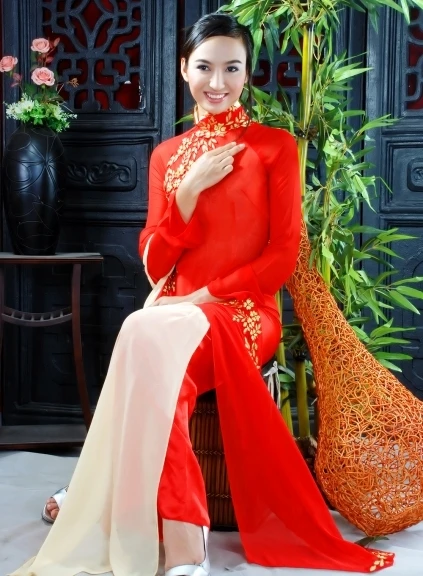 Hoa hậu Ngọc Diễm làm MC chương trình thả diều nghệ thuật ảnh 1