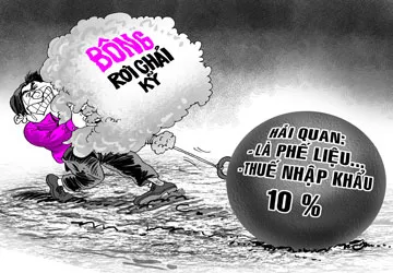 Ngành bông mệt vì chữ “phế liệu” ảnh 1 Ngành bông mệt vì chữ “phế liệu” ảnh 1