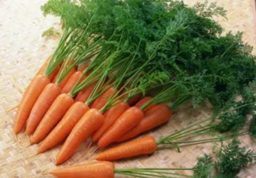 6 món ăn giúp giảm cân đón Tết ảnh 1 6 món ăn giúp giảm cân đón Tết ảnh 1