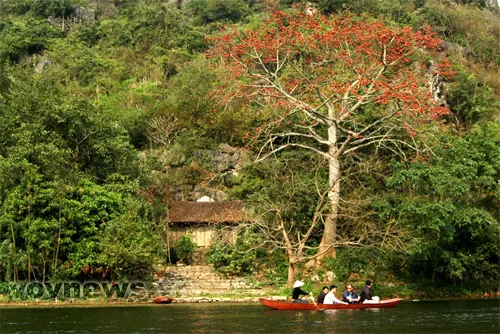 Tháng Ba, hoa gạo khoe sắc ảnh 5
