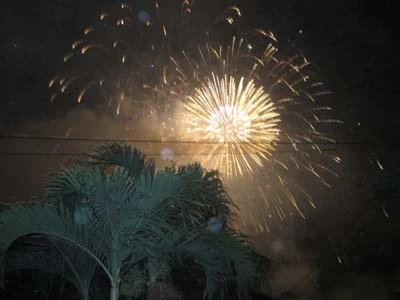 Chùm ảnh: Người dân TP. HCM xem pháo hoa trong mưa ảnh 15