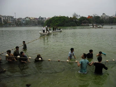 Trực tiếp quây bắt Rùa hồ Gươm: Cụ đã vào "lồng" ảnh 1 Trực tiếp quây bắt Rùa hồ Gươm: Cụ đã vào "lồng" ảnh 1