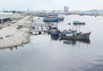 Đà Nẵng: Ô nhiễm môi trường, dân cầu cứu chính quyền TP ảnh 1 Đà Nẵng: Ô nhiễm môi trường, dân cầu cứu chính quyền TP ảnh 1