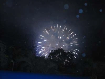 Chùm ảnh: Người dân TP. HCM xem pháo hoa trong mưa ảnh 19