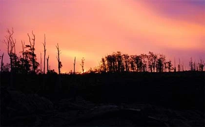 Bức ảnh "nụ hôn nóng nhất" thu hút trên Google+ ảnh 9