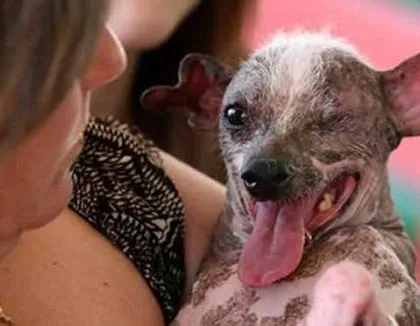 Những cuộc so tài quái đản trên thế giới ảnh 5 Những cuộc so tài quái đản trên thế giới ảnh 5