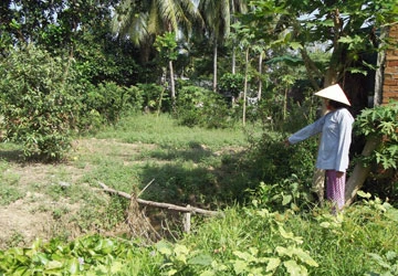 Hết ủy ban làm trật đến tòa “ngâm án” ảnh 1