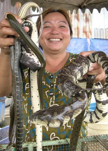 Bóng hồng "chơi" với thú dữ ảnh 2