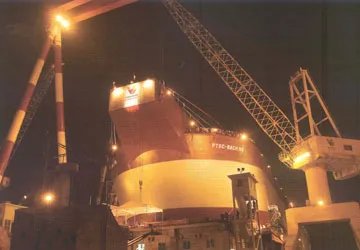 Sẽ còn những Vinashin khác? ảnh 2