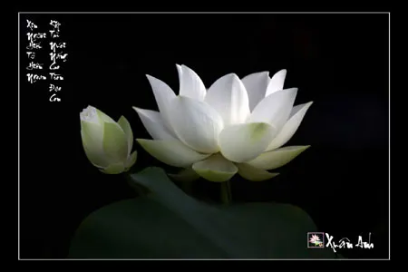 Triển lãm ảnh "Bóng mẹ" gây quỹ từ thiện ảnh 13