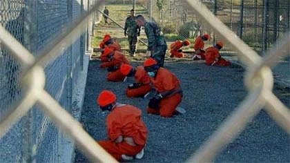 Ai chỉ điểm Bin Laden? ảnh 1