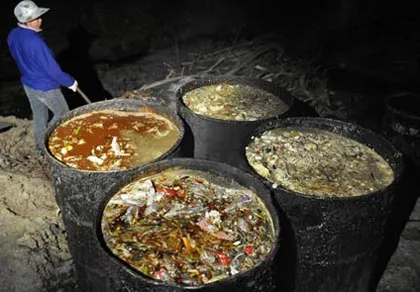 Nội táng thối rữa, hô biến thành… dầu ăn ảnh 1 Nội táng thối rữa, hô biến thành… dầu ăn ảnh 1