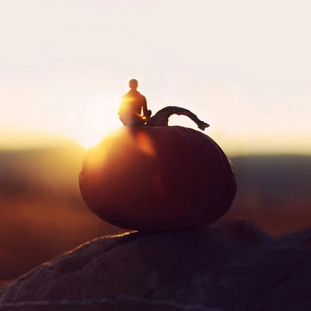 Thú vị bộ ảnh cuộc phiêu lưu của "người tí hon" ảnh 19