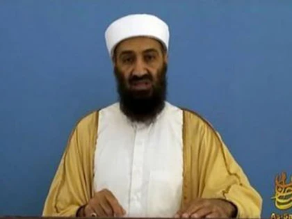 Bin Laden từng muốn cưới Whitney Houston ảnh 1