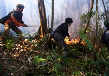 Cháy khoảng 100 ha rừng ở Vườn quốc gia Hoàng Liên ảnh 1