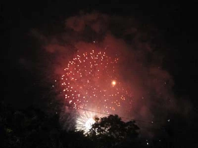 Chùm ảnh: Người dân TP. HCM xem pháo hoa trong mưa ảnh 21