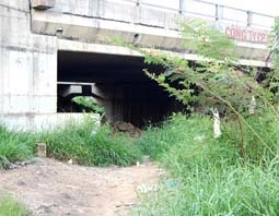 Đường vào bãi đáp dưới chân cầu Tham Lương 1.